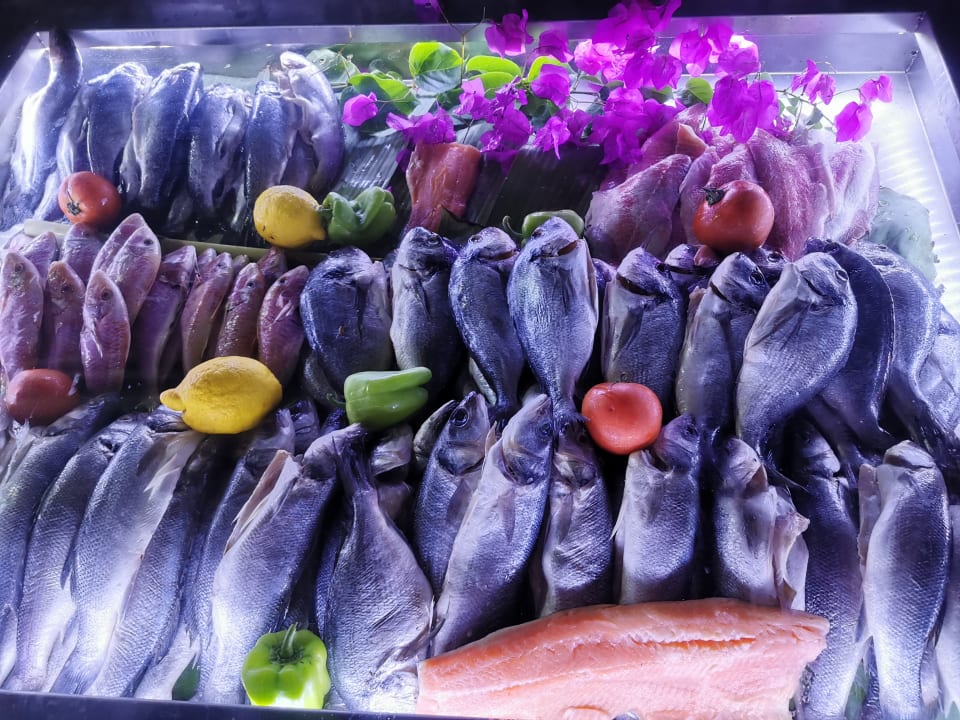 Gastro Can Garden Beach