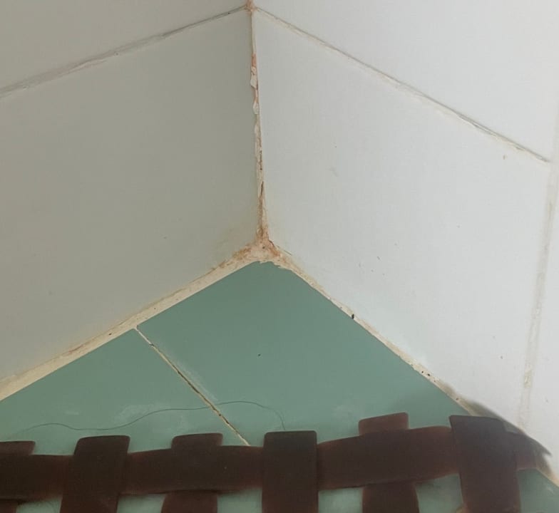 Zimmer Aquarius Apartments