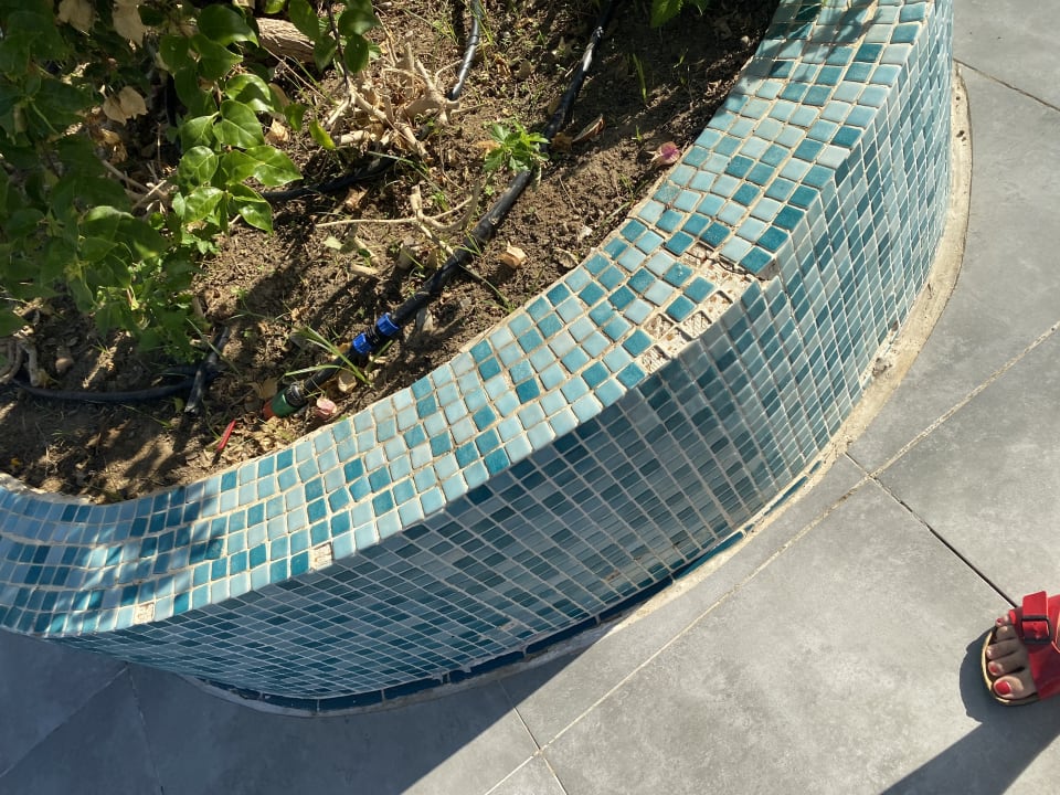 Gartenanlage Granada Luxury Okurcalar