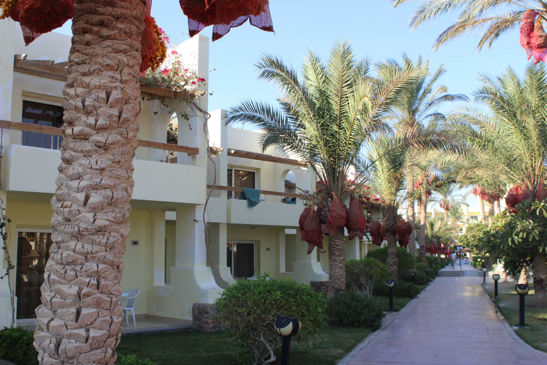 Gartenanlage Palm Beach Resort