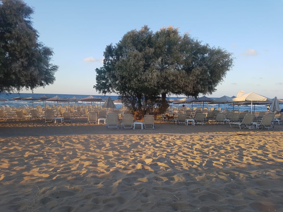 Strand Neptuno Beach