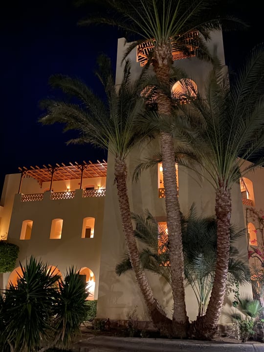 Gartenanlage Steigenberger Coraya Beach - Adults only