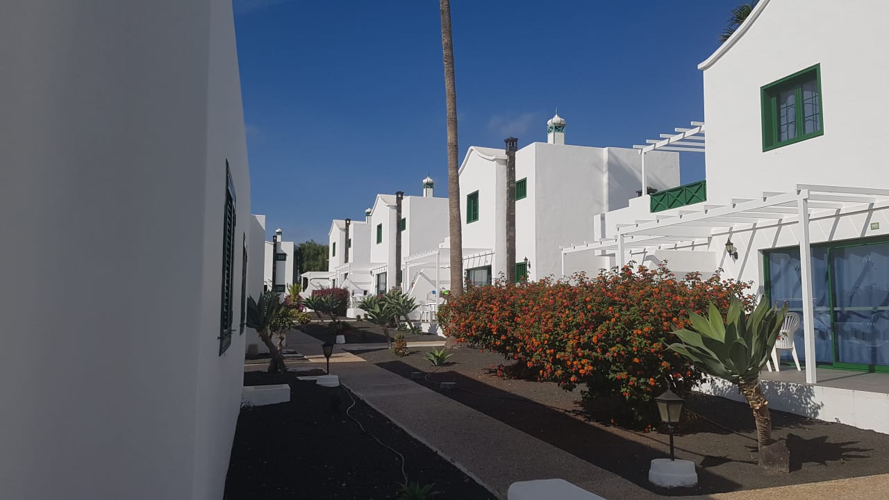 Gartenanlage Hotel Hyde Park Lane