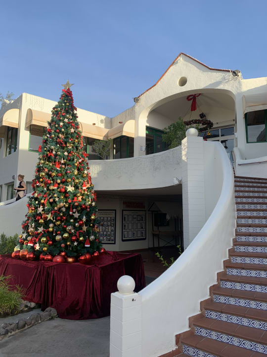 Gastro ROBINSON ESQUINZO PLAYA