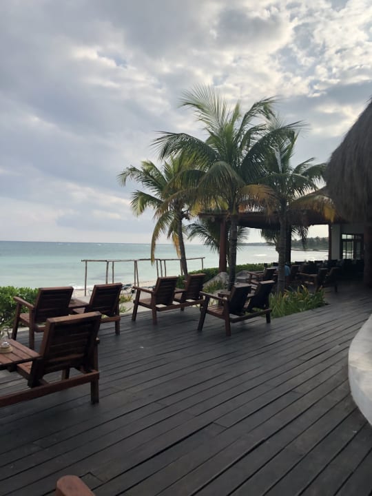 Gartenanlage Akumal Bay Beach & Wellness Resort