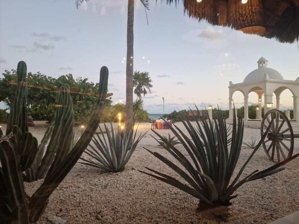 Gartenanlage Bahia Principe Grand Tulum