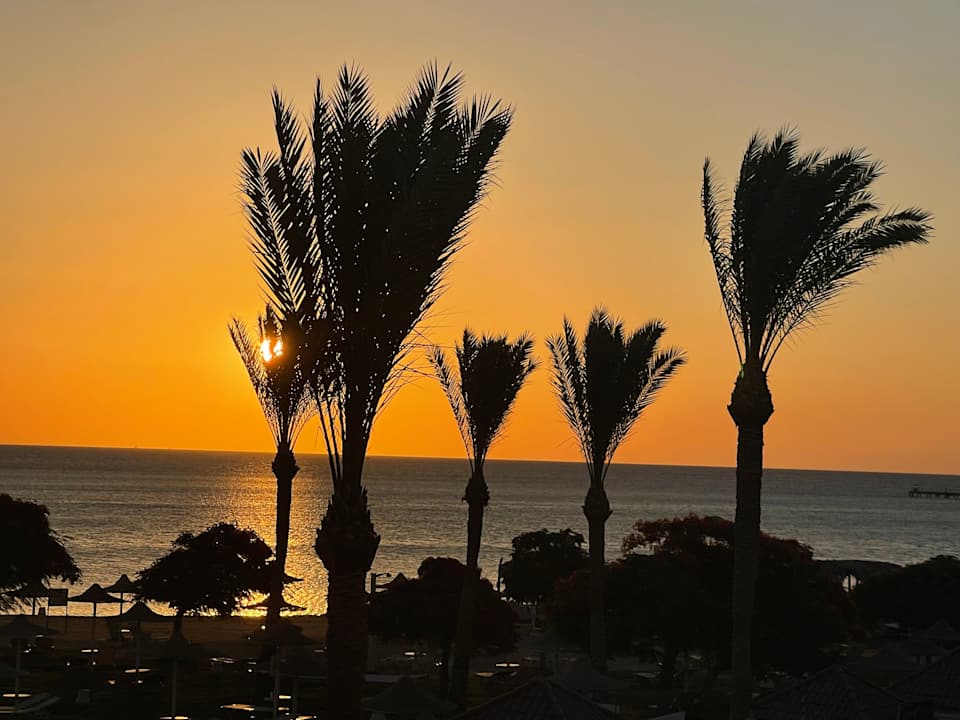 Sonstiges JAZ Aquamarine Resort
