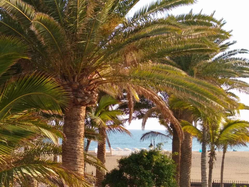 Ausblick Hipotels La Geria