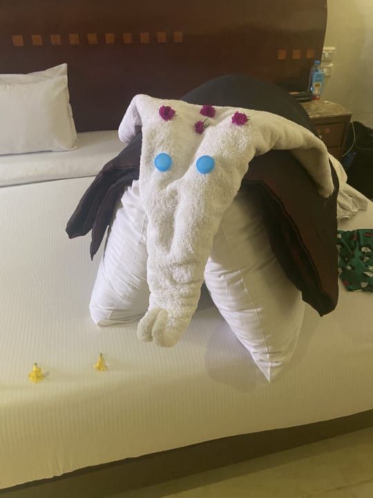 Zimmer Shams Prestige Abu Soma-Adults Only