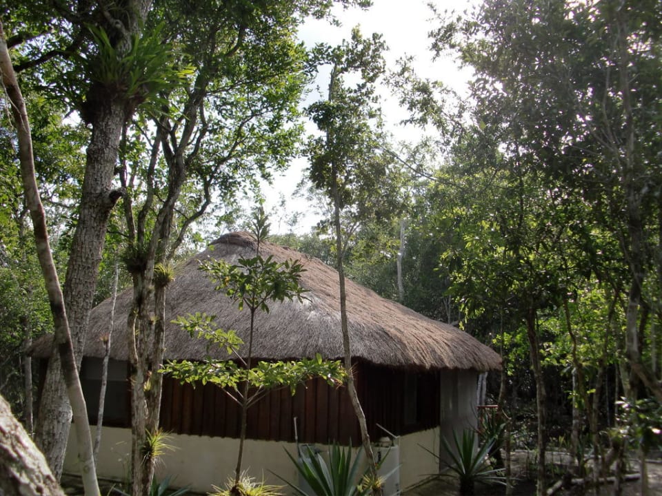 Bungalow Hotel Rio Bec Dreams