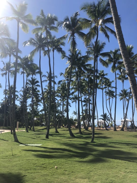 Gartenanlage Viva Heavens by Wyndham - All Inclusive Resort