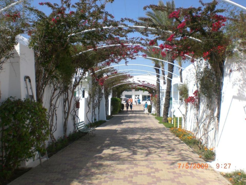 Weg zum Strand El Mouradi Club Kantaoui