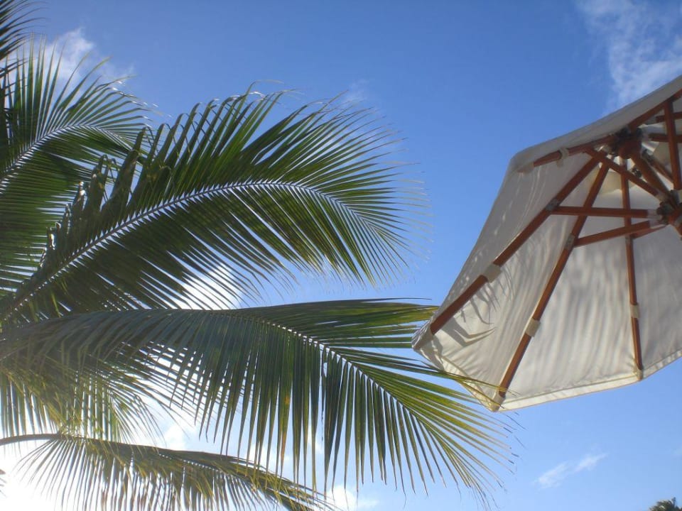 Carrebean Feeling Hotel Riu Palace Punta Cana