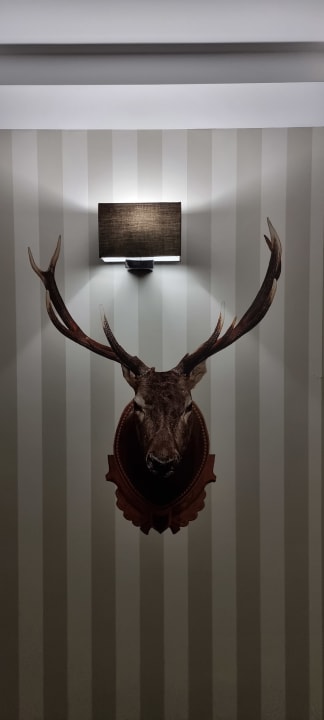 Sonstiges Hotel Aubrecht Country Spa Resort