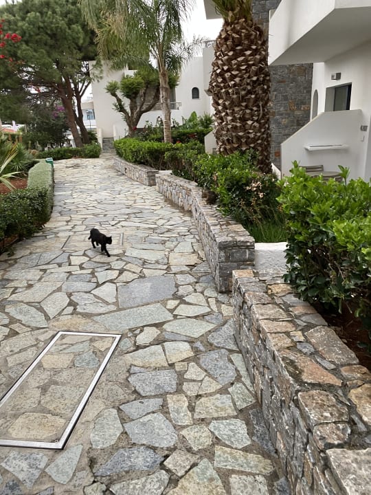 Sonstiges Sentido Kyknos Beach Adults Only 16+