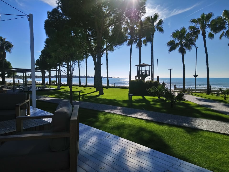 Strand Acanthus Cennet Barut Collection