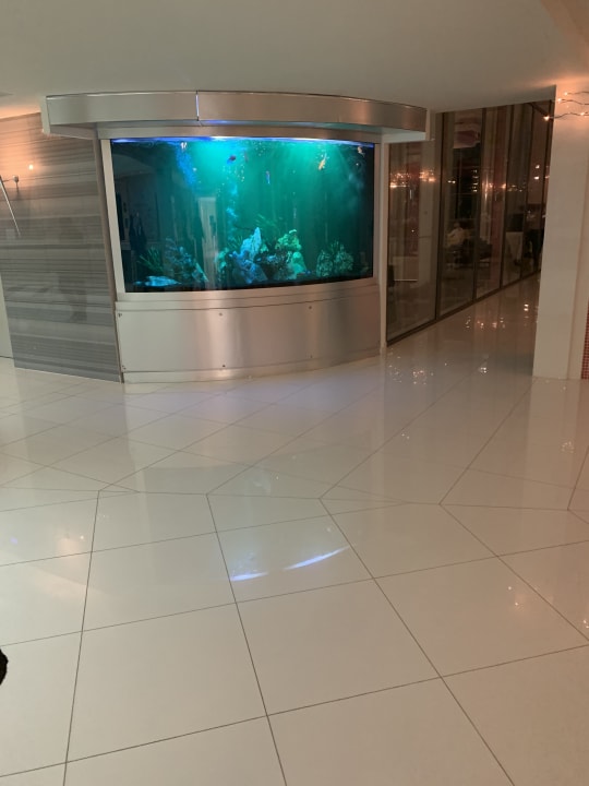 Lobby Elysium Resort & Spa Hotel