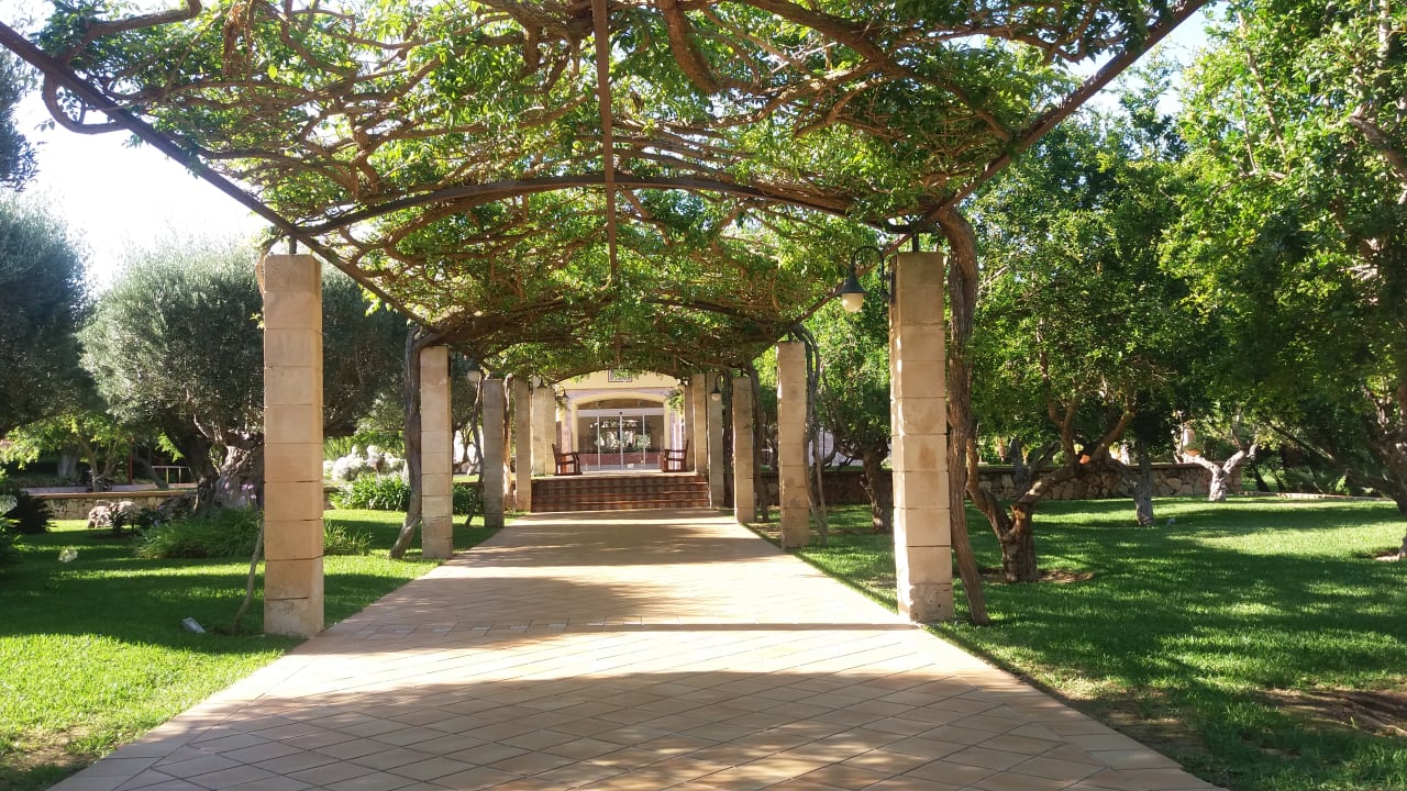 Gartenanlage Zafiro Mallorca