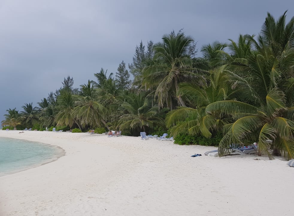 Strand Summer Island Maldives