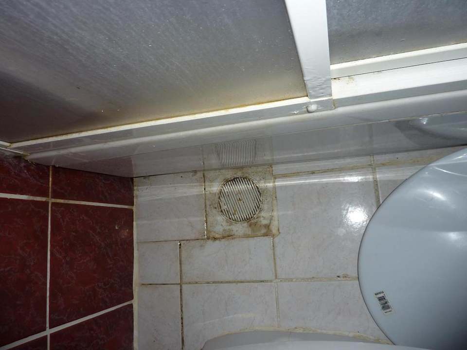 Defekter Klodeckel Cleopatra King Apart