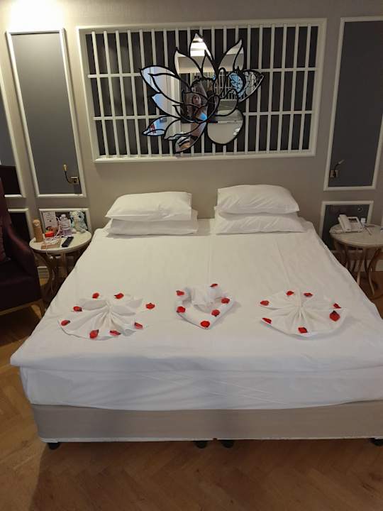 Sonstiges Adalya Elite Lara