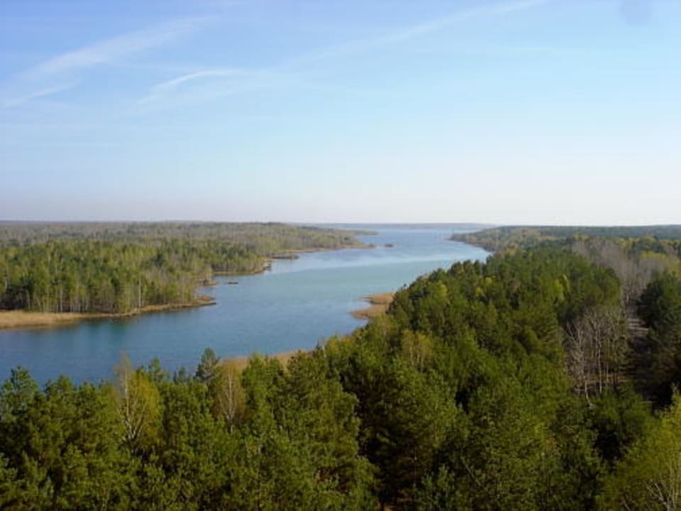 Blick vom Aussichtsturm am Senftenberger See Familienpark Senftenberger See