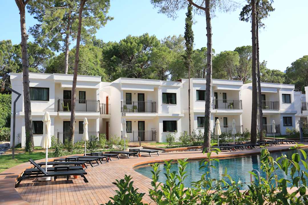 Ausblick Siu Collection