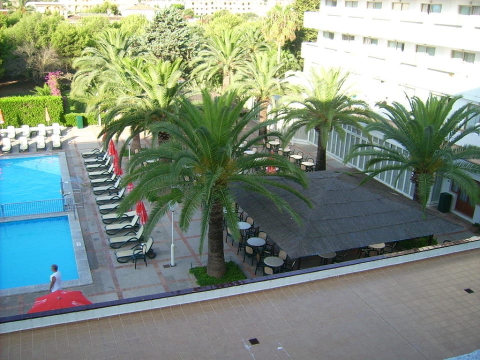 Bar gleich neben dem Pool Millor Sol