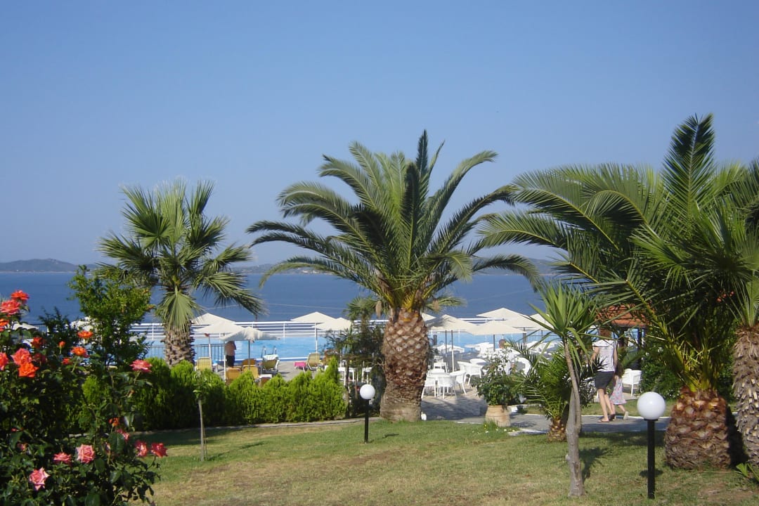 Pool view Akrathos Beach Hotel