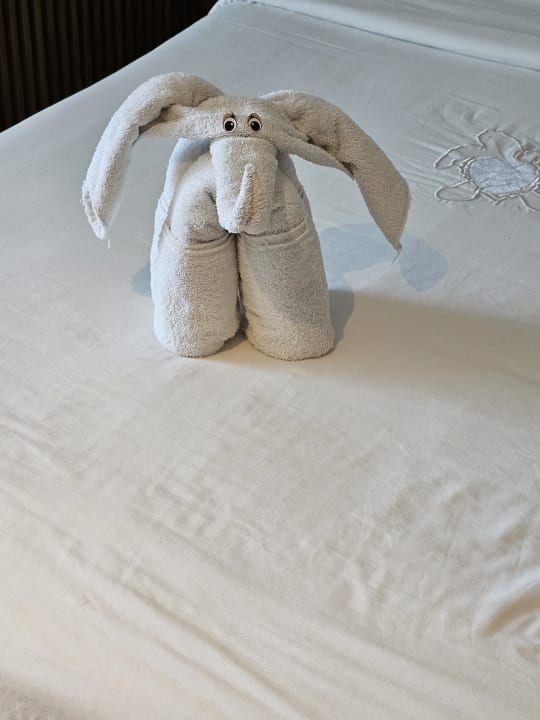 Zimmer Akumal Bay Beach & Wellness Resort