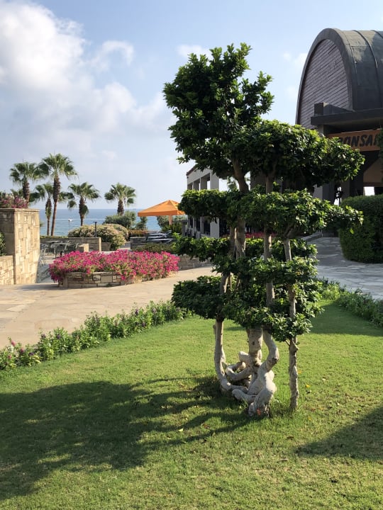 Gartenanlage Arum Barut Collection