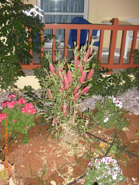 Zimmer, Balkon Anissa Beach & Village