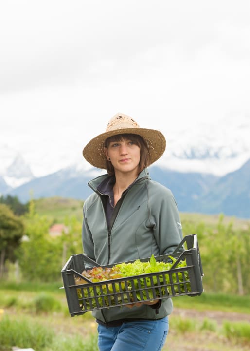 Gartenanlage Biohotel Panorama