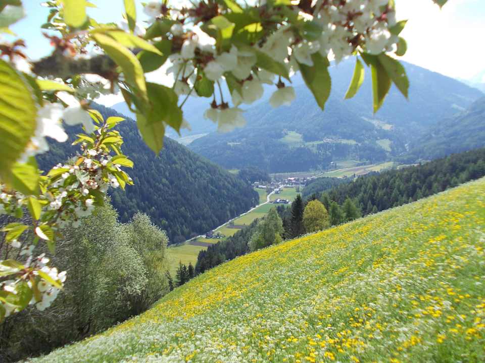 Wunderschöner Ausblick ins Tal Kehrerhof