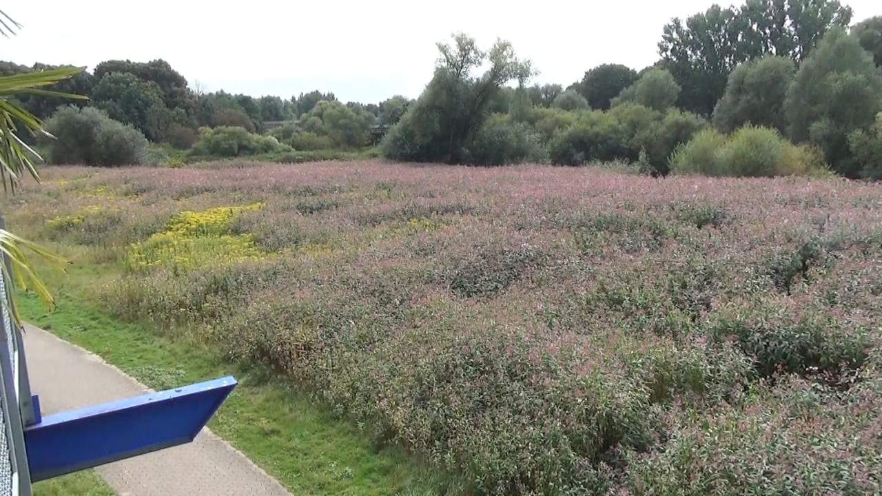 Ausblick DJH Jugendherberge Hannover International