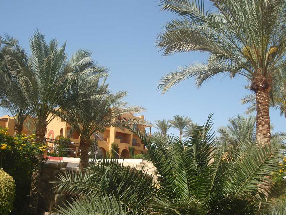 The green area of ​​the hotel Rehana Royal Beach Resort Aqua Park & Spa
