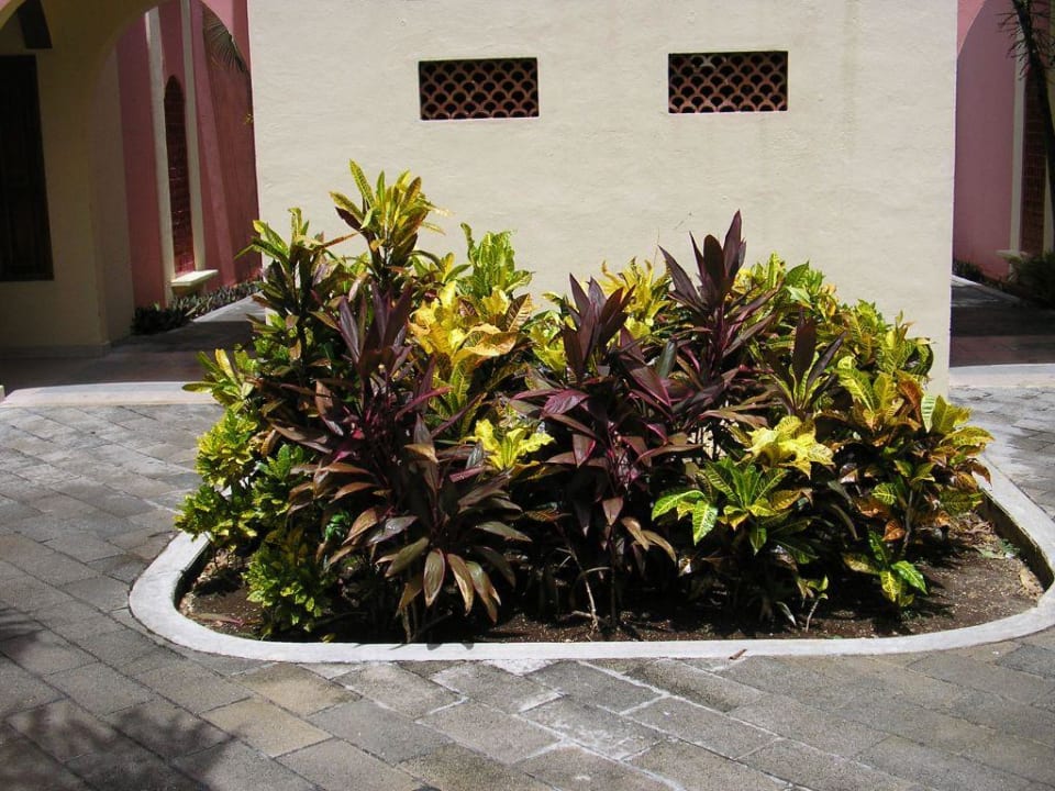 Hotelanlage Hotel Riu Tequila