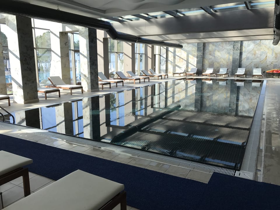 Pool Acanthus Cennet Barut Collection