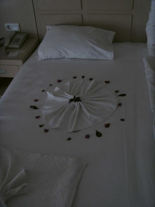 Bett Hotel Gardenia Beach