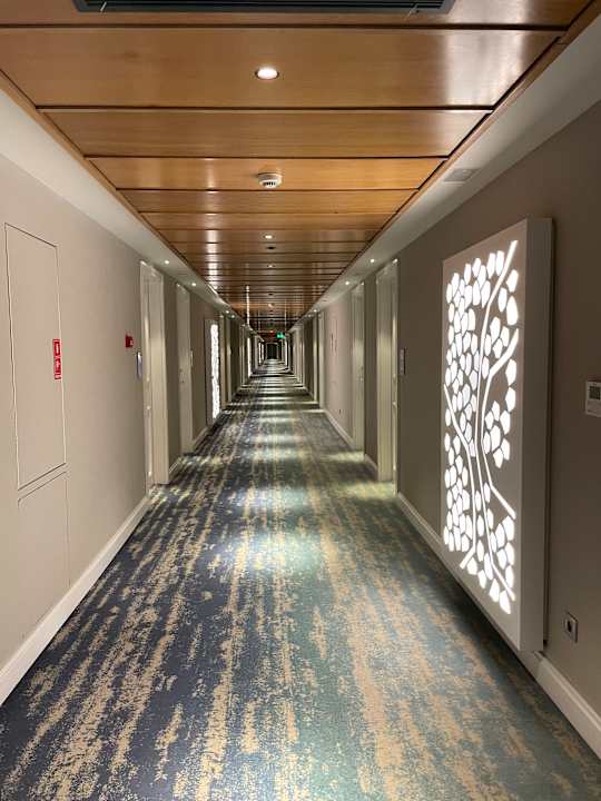 Sonstiges Makedonia Palace