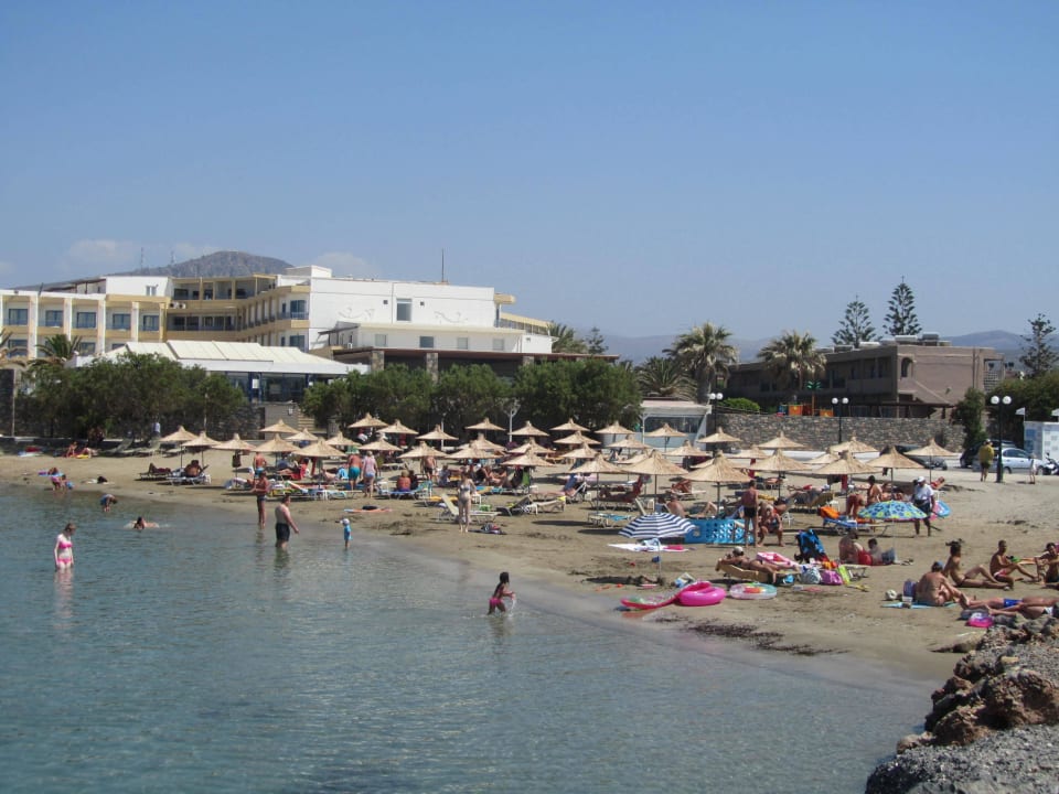 Blick vom Felsen aufs Hotel und den Strand Apollo Hotel - Aphrodite Beach Club Annex