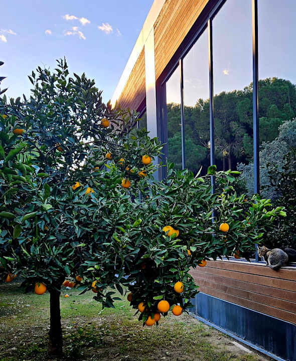 Gartenanlage Voyage Belek Golf & Spa