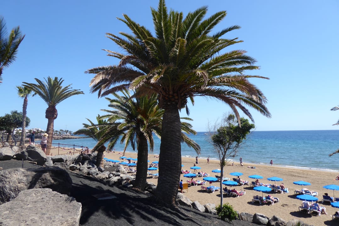 Strand Ereza Apartamentos Los Hibiscos- Adults Only