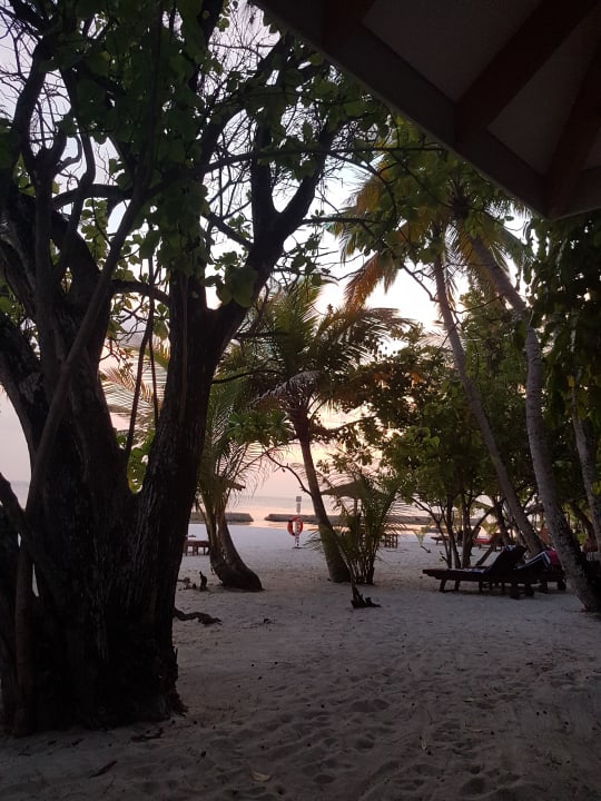 Ausblick Ellaidhoo Maldives by Cinnamon