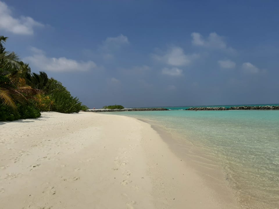 Strand Summer Island Maldives