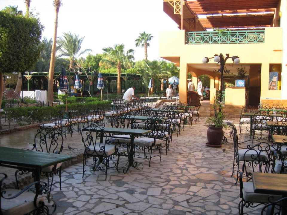 Bar Giftun Azur Resort