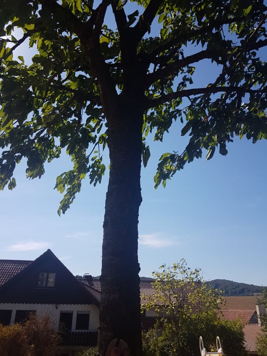 Gartenanlage Ferienhof Dingeldey