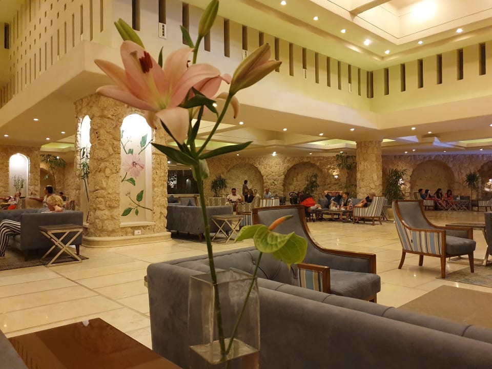 Lobby Pickalbatros Citadel Resort