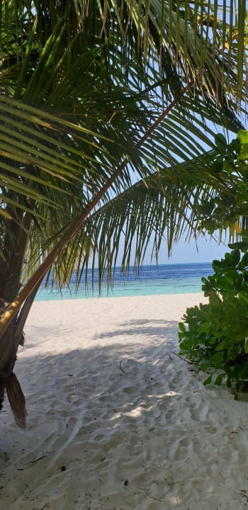 Strand Vilamendhoo Island Resort & Spa