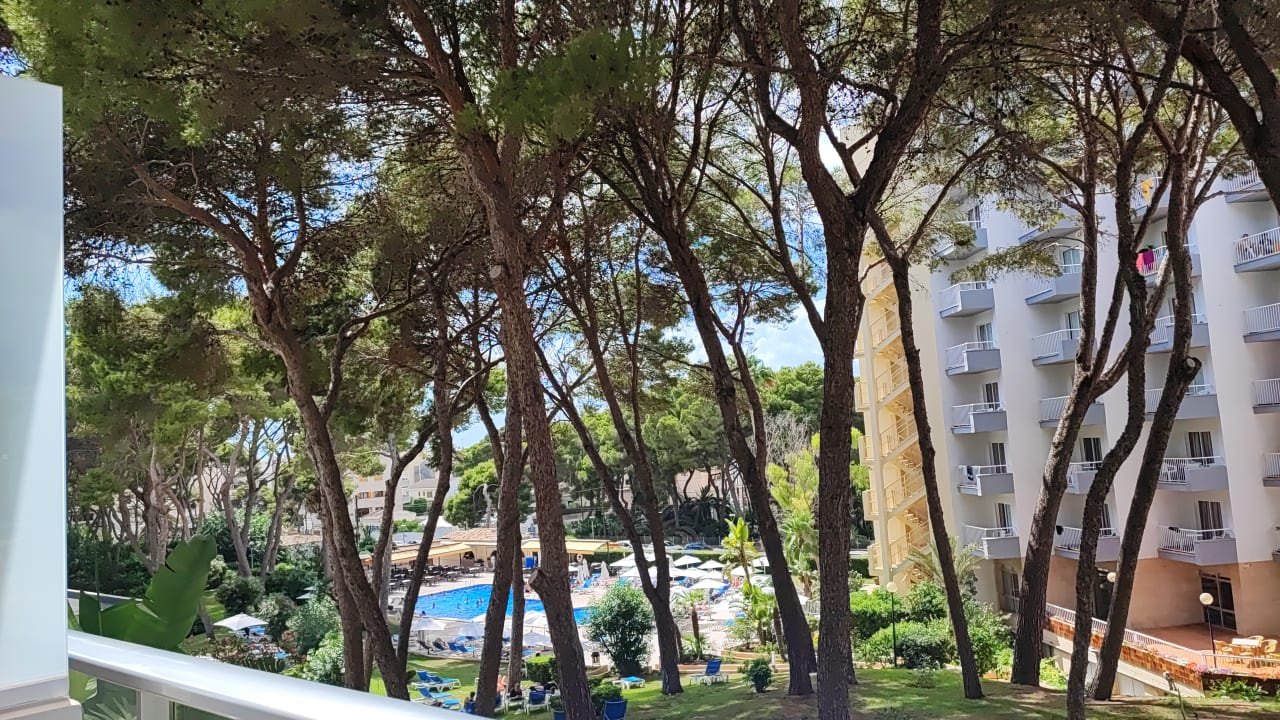 Ausblick Hotel Riu Festival